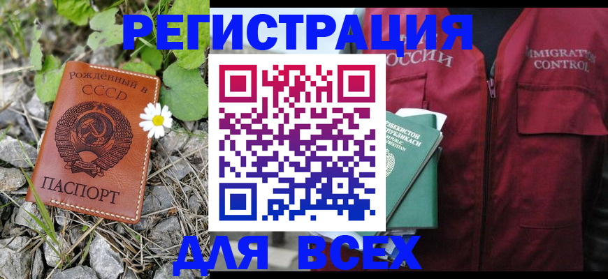 прописка поиск в Александровске